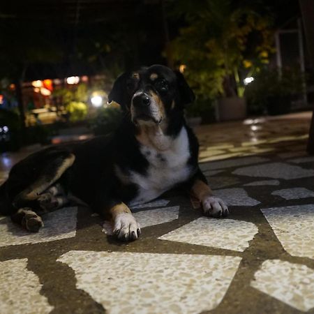 Red Coconut Villa เบนโตตา ภายนอก รูปภาพ