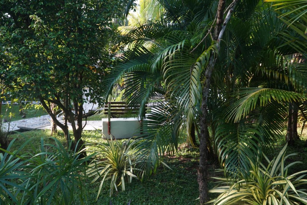 Red Coconut Villa เบนโตตา ภายนอก รูปภาพ