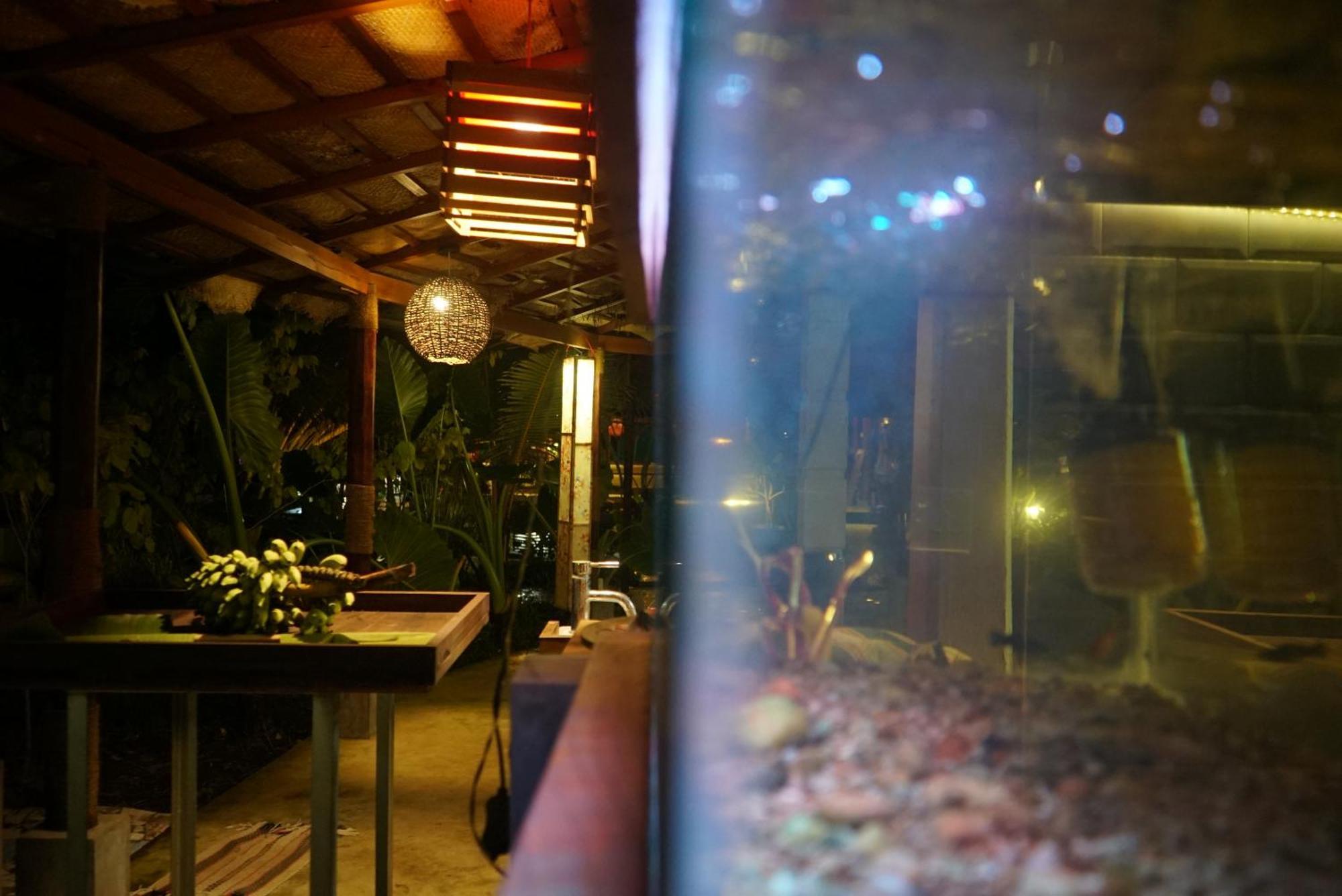 Red Coconut Villa เบนโตตา ภายนอก รูปภาพ