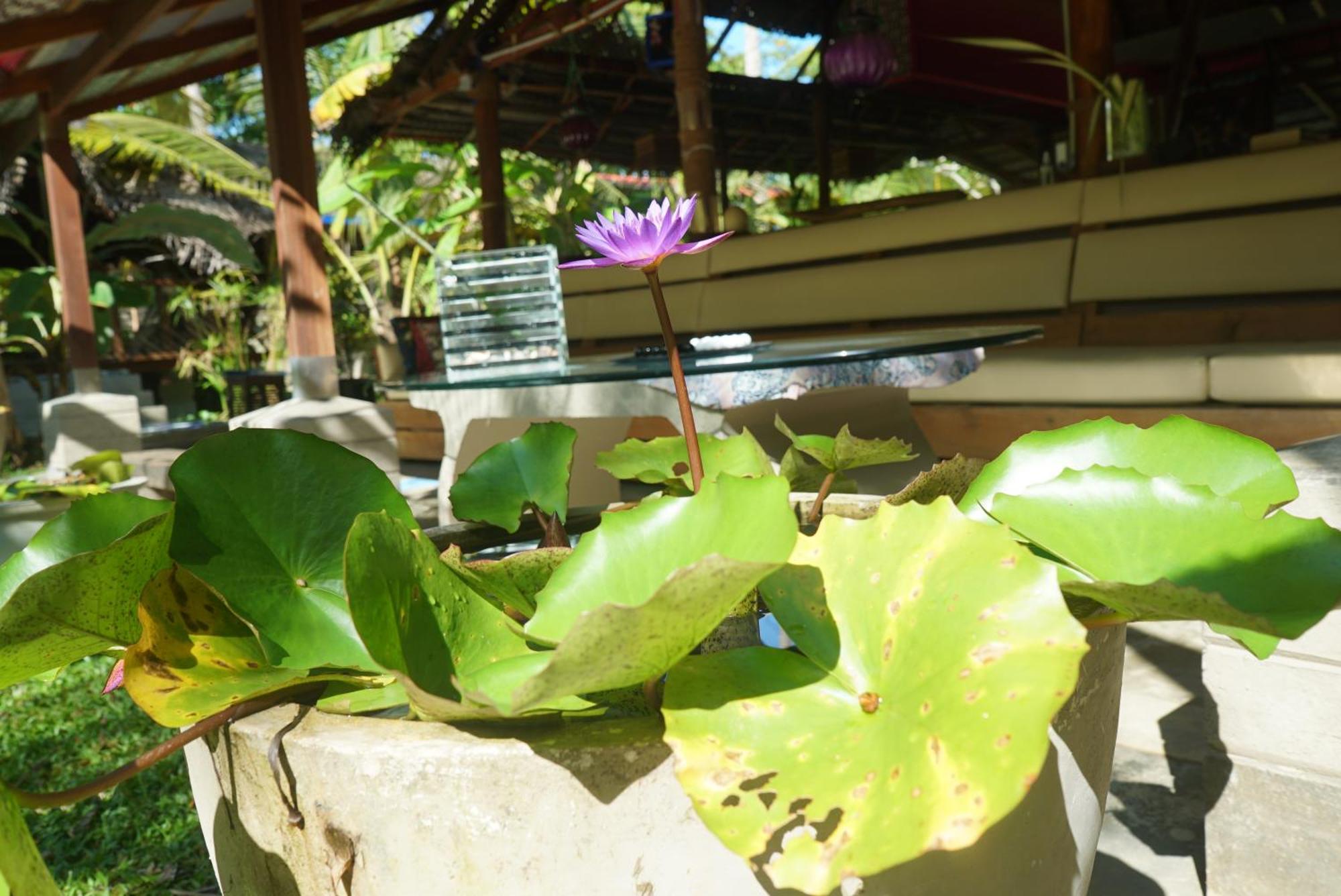 Red Coconut Villa เบนโตตา ภายนอก รูปภาพ