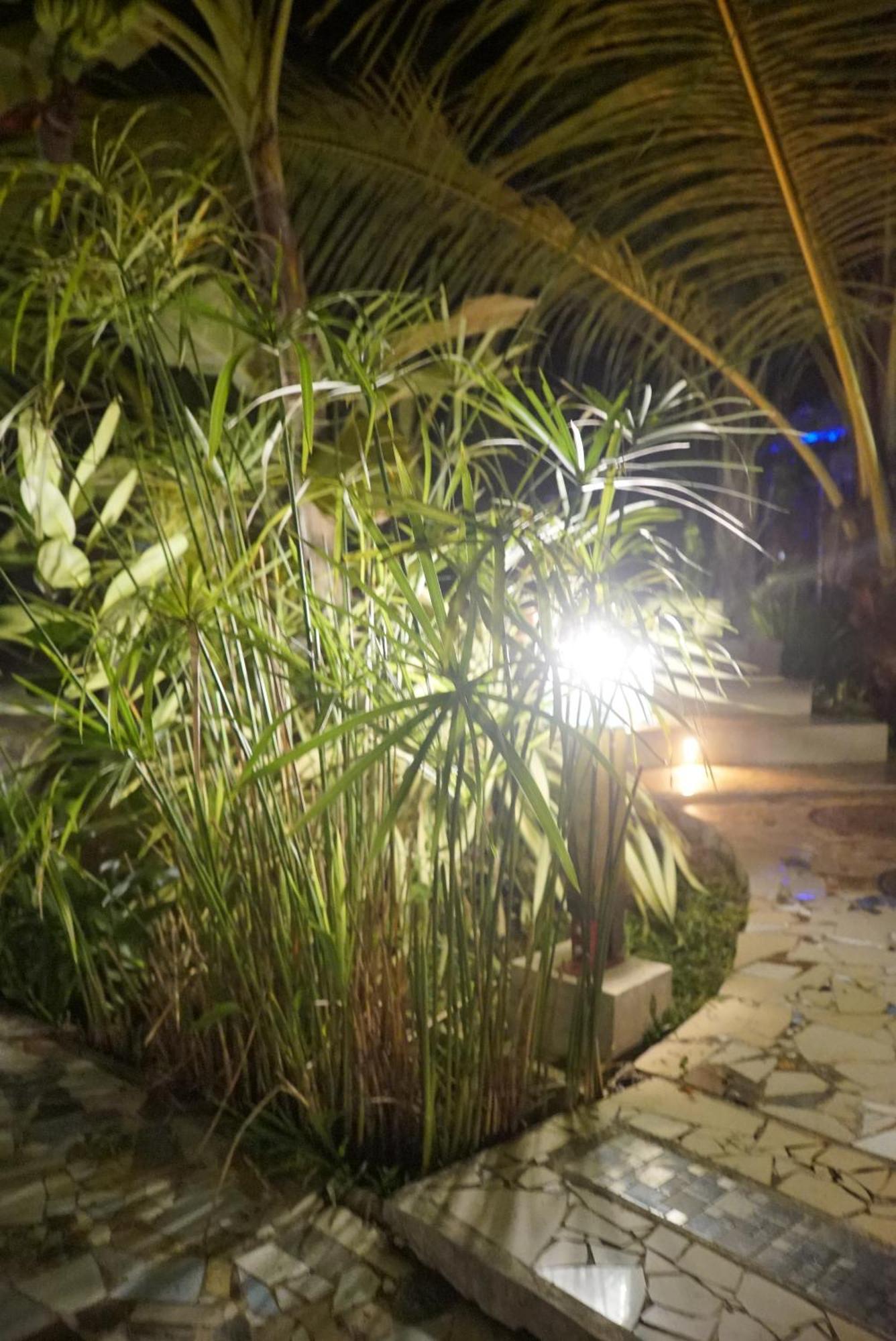 Red Coconut Villa เบนโตตา ภายนอก รูปภาพ